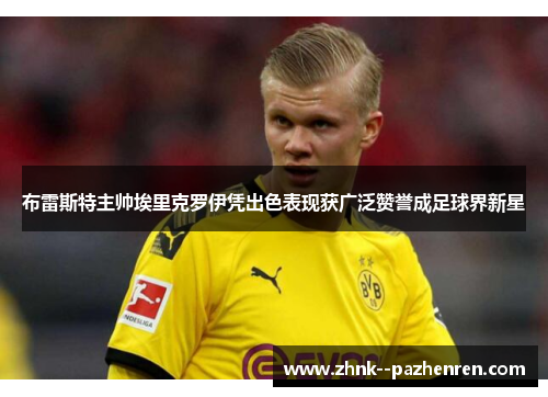 布雷斯特主帅埃里克罗伊凭出色表现获广泛赞誉成足球界新星