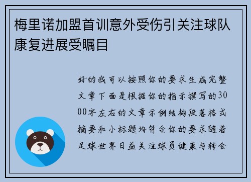 梅里诺加盟首训意外受伤引关注球队康复进展受瞩目
